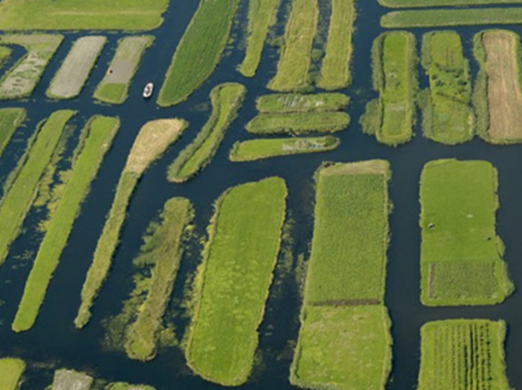 Rijk der 1000 eilanden